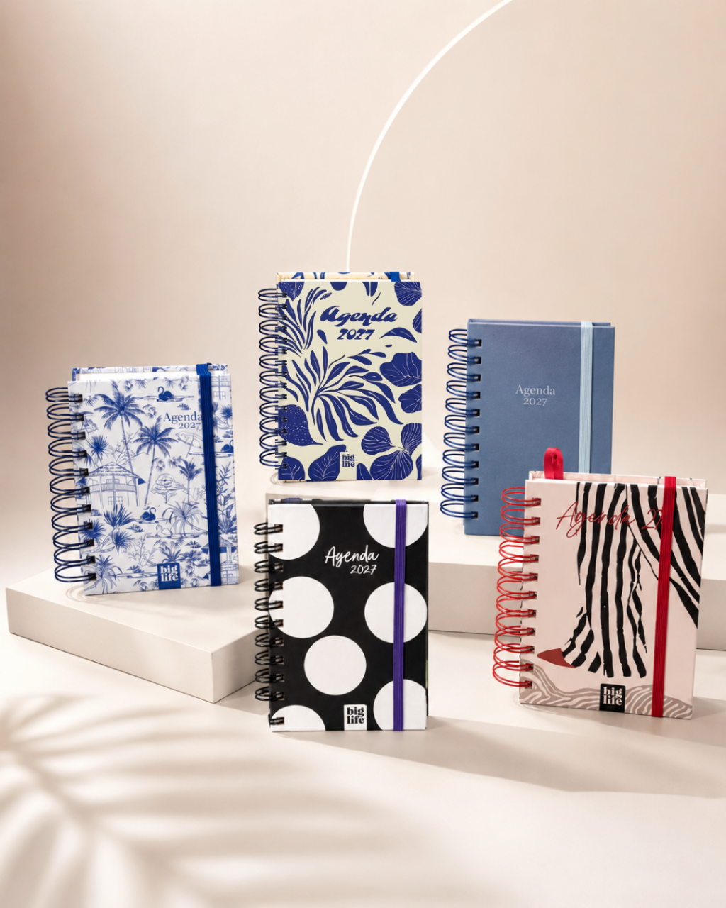 AGENDA N*6 DIARIA C/ESP.10x15 MINIMAL BIG LIFE